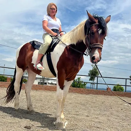 Kodra E Godenve * Vile-Ballaj